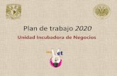 Plan de trabajo 2014 - incuvet.fmvz.unam.mx