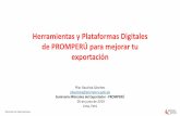 Herramientas y Plataformas Digitales de PROMPERÚ para ...