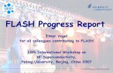 FLASH Progress Report