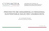 PROYECTO DE DESARROLLO REGIONAL SUSTENTABLE BAJO RÍO ...