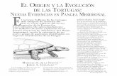 El Origen y la Evolución de las Tortugas uevas Evidencias ...