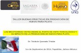 TALLER BUENAS PRÁCTICAS EN PRODUCCIÓN DE HUEVO PARA …