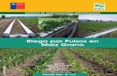 Riego por Pulsos en Maíz Grano - biblioteca.inia.cl