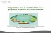 Competencias para la sustentabilidad en los programas de ...