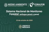 Sistema Nacional de Monitoreo Forestal: enfoque pared a pared