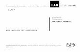 Informe al Gobierno de HONDURAS 1934 - FAO