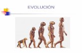 EVOLUCIÓN - dspace.espol.edu.ec