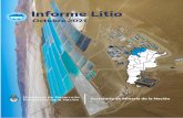 Informe Litio - argentina.gob.ar