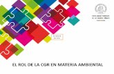EL ROL DE LA CGR EN MATERIA AMBIENTAL - Universidad de Chile