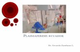 Plasmaferesis ecuador