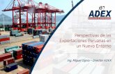 Perspectivas de las Exportaciones Peruanas en un Nuevo Entorno