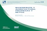 Bioenergía y Agricultura: Promesas y Retos