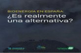 BIOENERGÍA EN ESPAÑA: ¿Es realmente una alternativa?