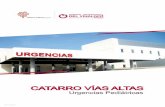 CATARRO VÍAS ALTAS - vinaloposalud.com