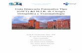 Hospital El Bierzo - Guía Itinerario Formativo Tipo (GIFT ...