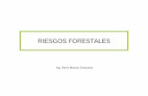 RIESGOS FORESTALES - JMCPRL