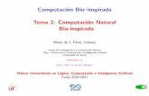Computaci on Bio{inspirada Tema 2:Computaci on Natural Bio ...