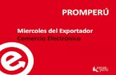 Miercoles del Exportador Comercio Electr³nico