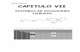 Cálculo Numérico CAPITULO VII - edUTecNe