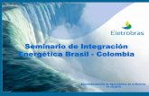 Seminario de Integración Energética Brasil - Colombia