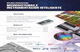 Diploma Universitario Microsistemas e Instrumentación ...