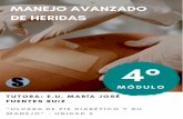 CURSO MANEJO AVANZADO DE HERIDAS SEPROTEC LTDA. Página 1