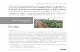Eficacia de insecticidas botánicos sobre Myzus persicae ...
