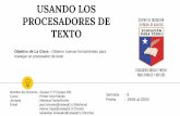 USANDO LOS PROCESADORES DE TEXTO