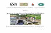 Informe: Manejo del agua en la cuenca San Juan Zitácuaro ...