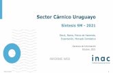 Sector Cárnico Uruguayo