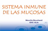 INMUNIDAD DE LAS MUCOSAS - medic.ula.ve
