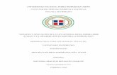 “ANÁLISIS Y APLICACIÓN DE LA LEY GENERAL 200-04, SOBRE …