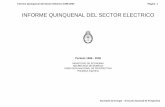 INFORME QUINQUENAL DEL SECTOR ELECTRICO