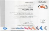 Anexo 13. Certificado ISO 9001-2008 (2014)