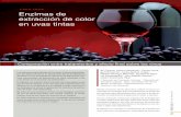 Enzimas de extracción de color en uvas tintas