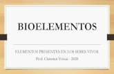 BIOELEMENTOS - aulas.uruguayeduca.edu.uy