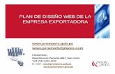 PLAN DE DISEÑO WEB DE LA EMPRESA EXPORTADORA