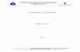 PLAN ANUAL DE AUDITORIA - purificaesp.gov.co