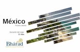 hell Méxicoo - bharad.es
