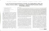 LA FITOTOXICIDAD POR CLORURO EN EL CULTIVO DEL CAQUI ...