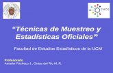 “Técnicas de Muestreo y Estadísticas Oficiales