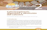 Calostrogénesis, digestión y absorción del calostro
