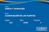 Tema: CLASIFICACIÓN DE LAS PLANTAS