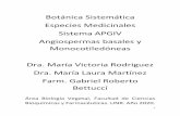 Botánica Sistemática Especies Medicinales Sistema APGIV ...