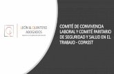 COMITÉ DE CONVIVENCIA LABORAL Y COMITÉ PARITARIO DE ...