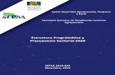 Estructura Programática y Presupuesto Sectorial 2020