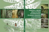 Helechos y plantas afines de AlbÆn (Cundinamarca): El ...