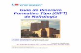 Guía de Itinerario Formativo Tipo (GIFT) de Nefrología
