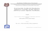 Lixiviación Acida de Pirolusita (MnO2); Usando Ácido ...