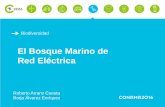 El Bosque Marino de Red Eléctrica - Conama